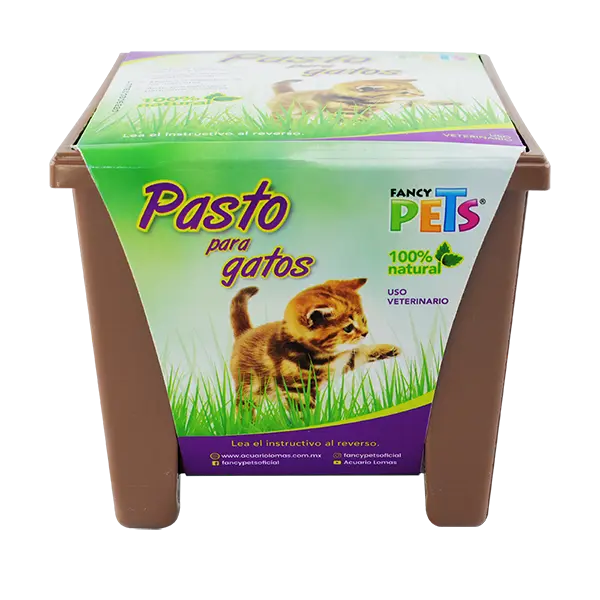 Pasto P/Gatos