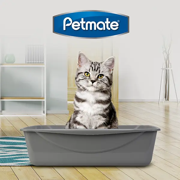 Arenero Gde Petmate