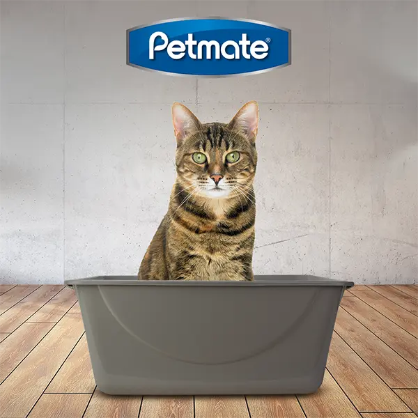 Arenero Jumbo Petmate