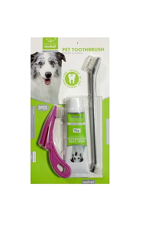 Kit de Cuidado Dental 