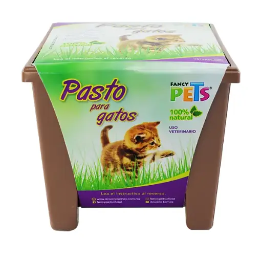 [FL3916] Pasto P/Gatos