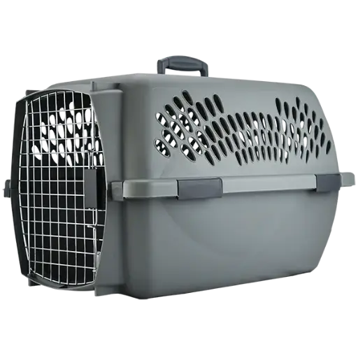 [DO21085] Transportadora Int Pet Taxi