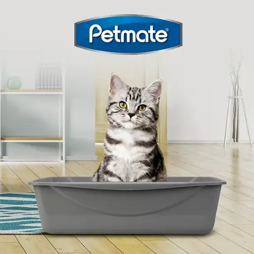 [DO22183] Arenero Gde Petmate